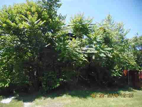 20103 Cardoni (2)_m.jpg